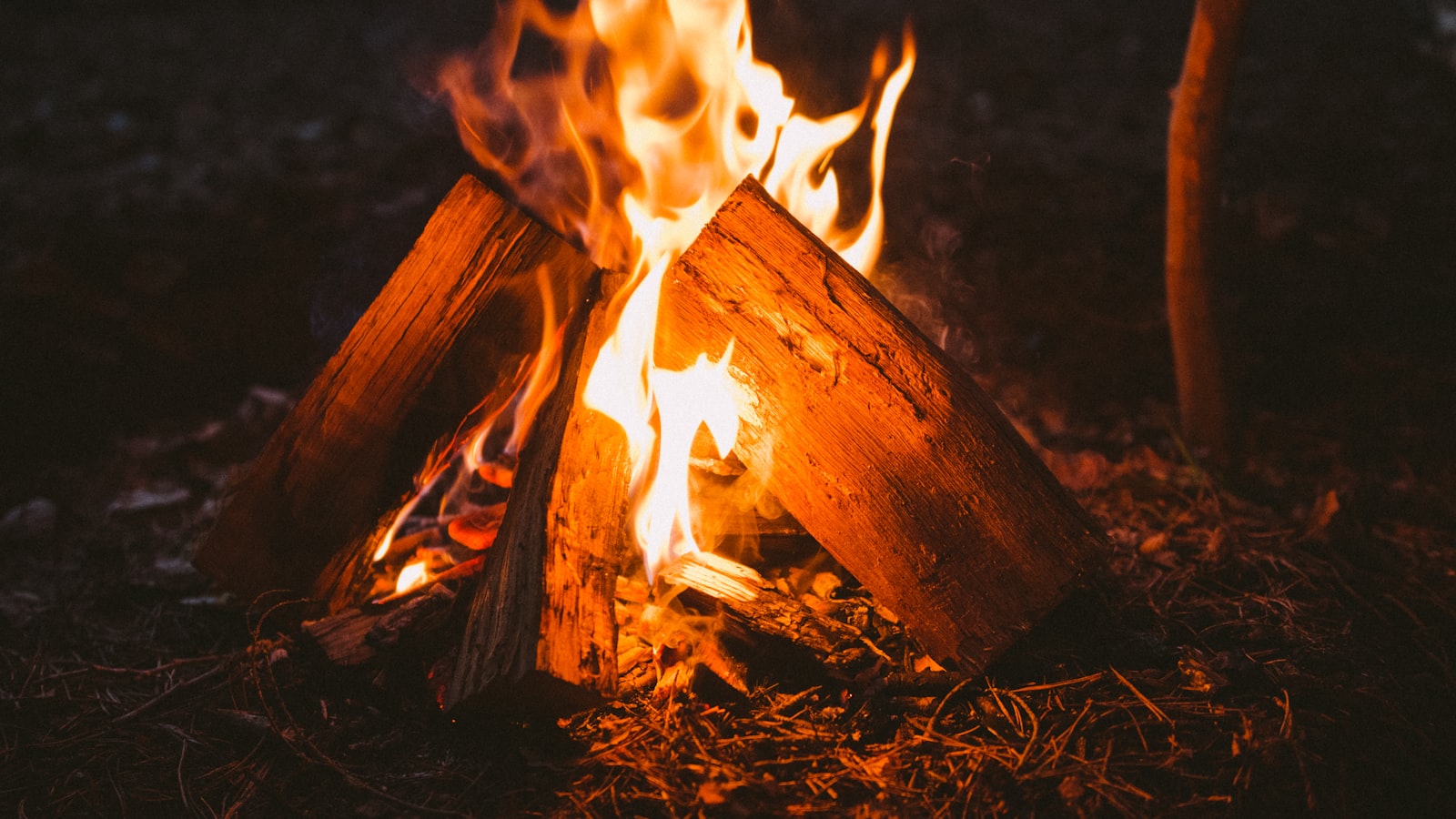 Feu de camp au sol en soirée dans un camping