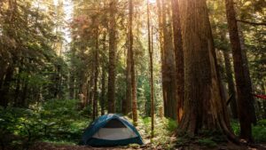 Camping à Les Vans : Le Guide Local pour Bien Choisir Son Séjour en Ardèche du Sud