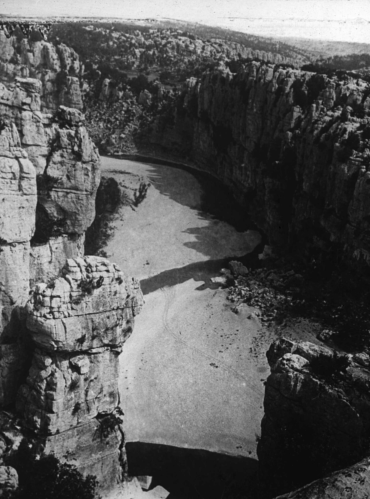 Canyon du Chassezac vu depuis le Bois de Païolive en Ardèche du Sud