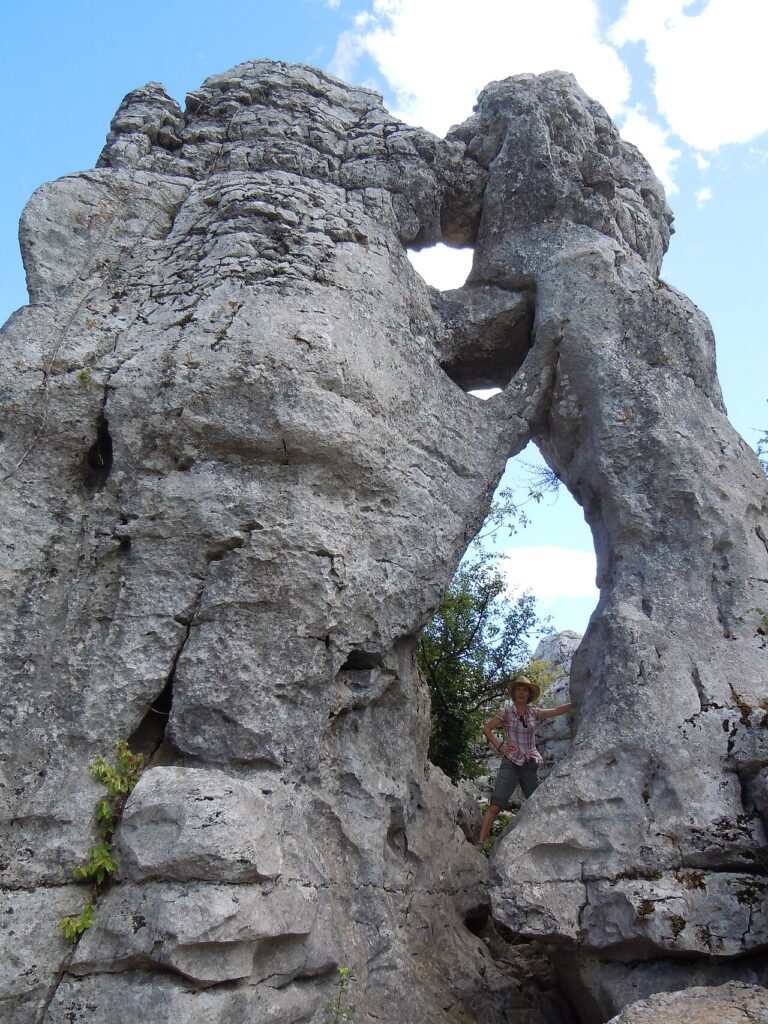 L'Ours et le Lion formations rocheuses emblématiques du Bois de Païolive en Ardèche