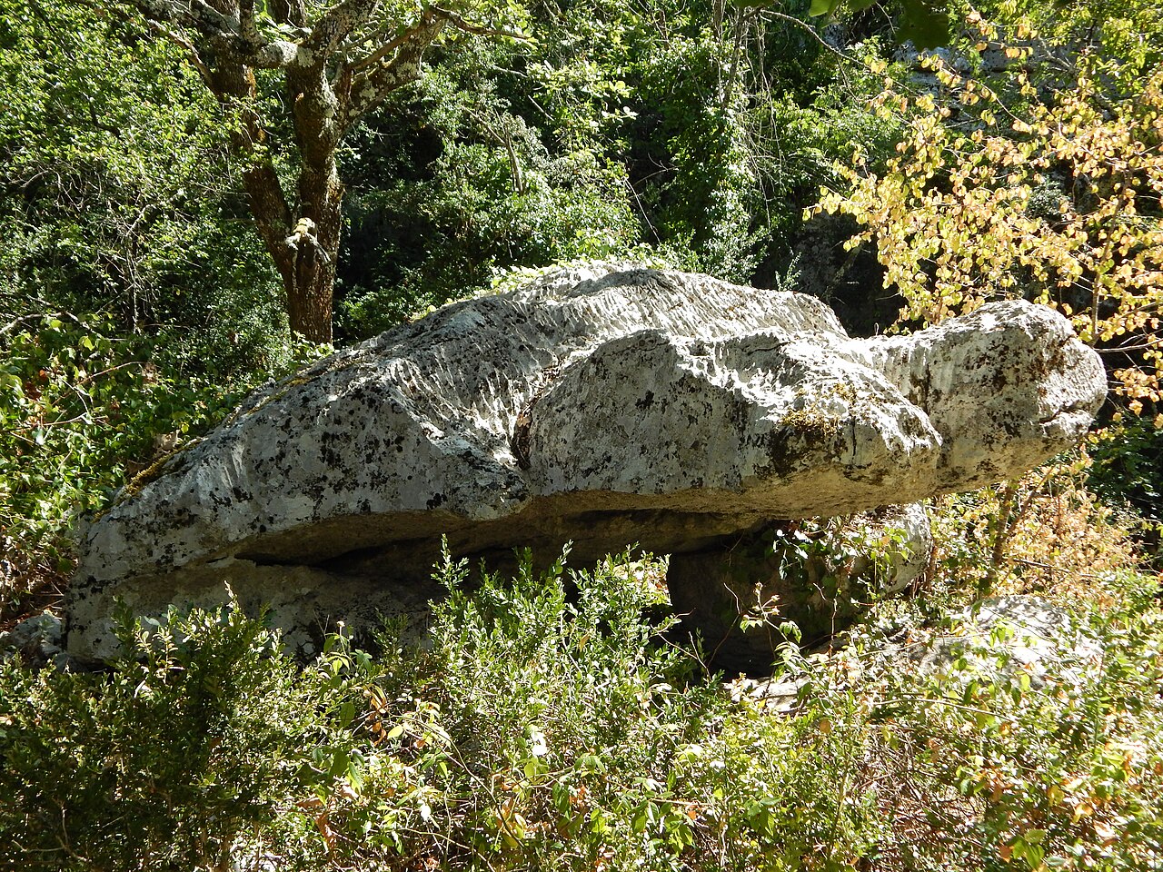 La Tortue formation rocheuse naturelle dans le Bois de Païolive en Ardèche