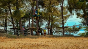 Accrobranche aux Vans : les 3 Meilleurs Parcs d'Aventure en Ardèche du Sud
