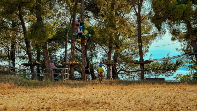 Parcours d'accrobranche dans les arbres en forêt, activité familiale près des Vans