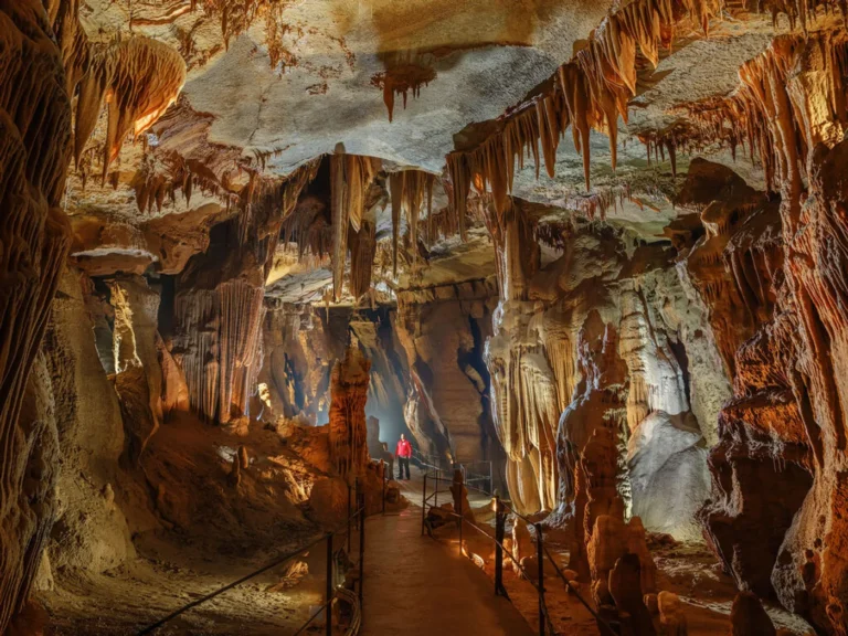 Concrétions et disques de calcite dans la Salle des Disques de la grotte de la Cocalière
