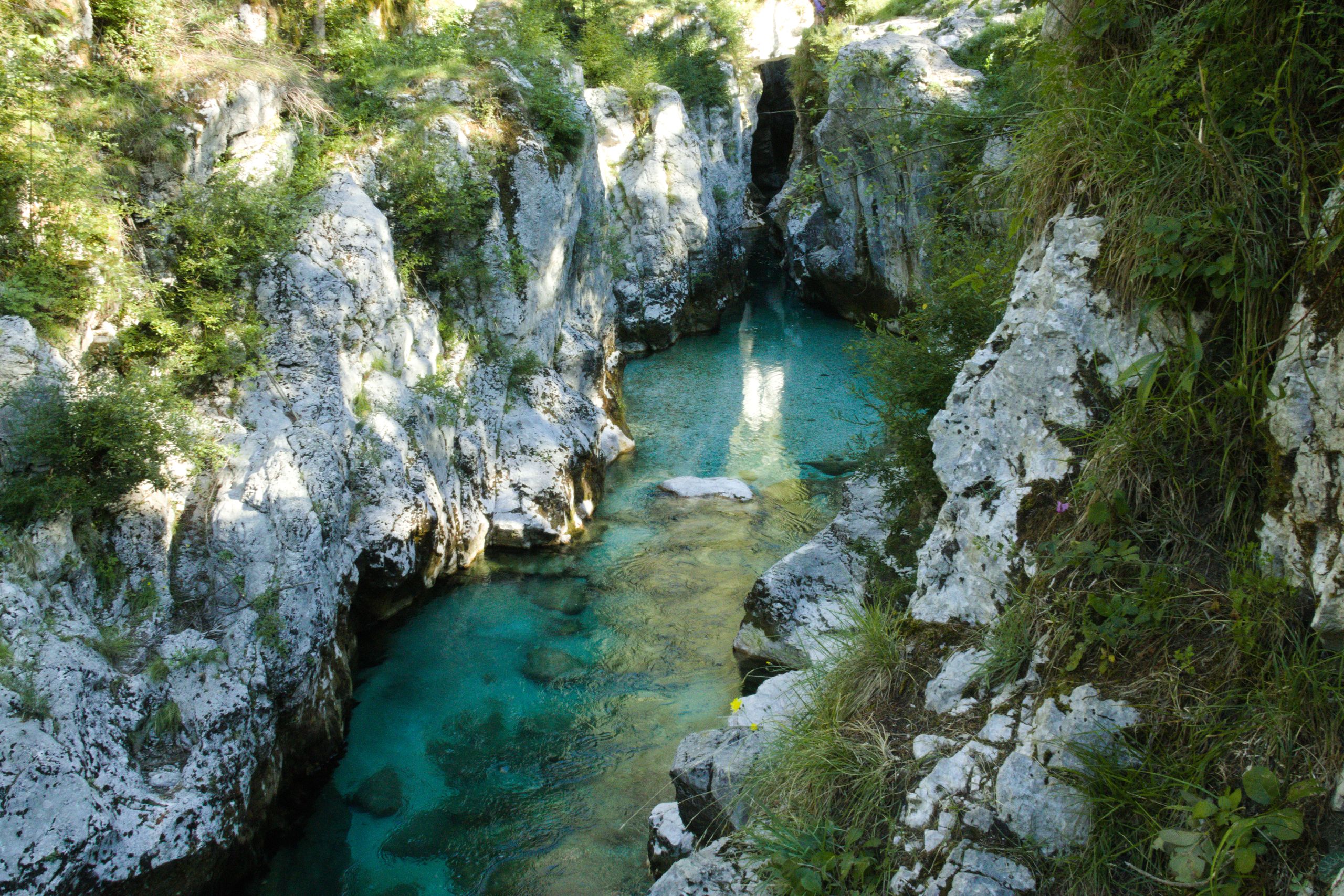La rivière Chassezac aux eaux turquoise au fond de son canyon calcaire