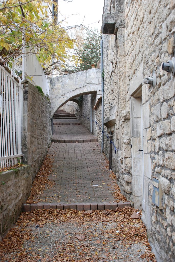 Ruelle pavée et maisons de pierre du vieux village de Labeaume